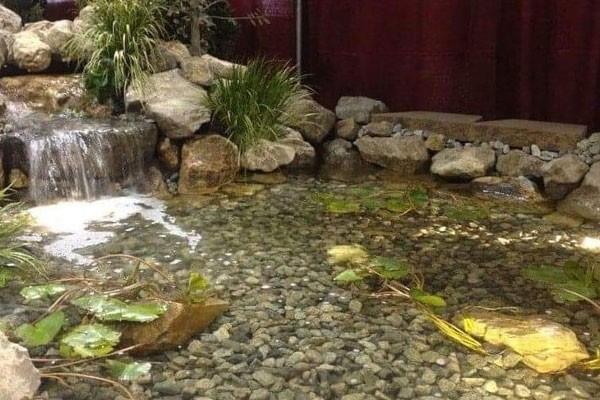 Affordable Pond Services Tempe AZ
