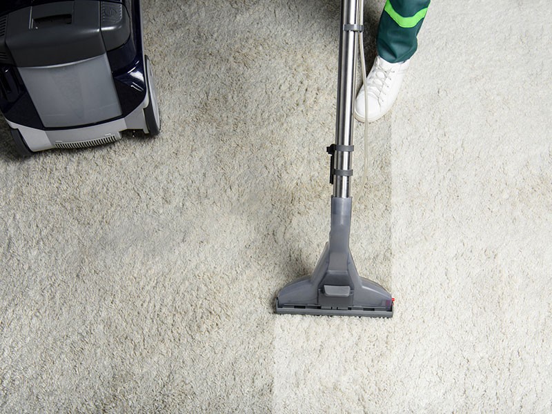 Carpet Cleaning Services South Beach FL