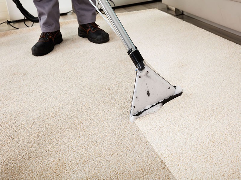 Carpet Cleaning Services Tavares FL