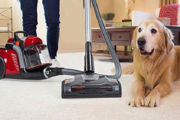 Pet Stain Remover Norcross GA