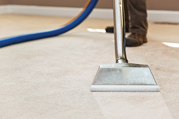 Carpet Stain Removal