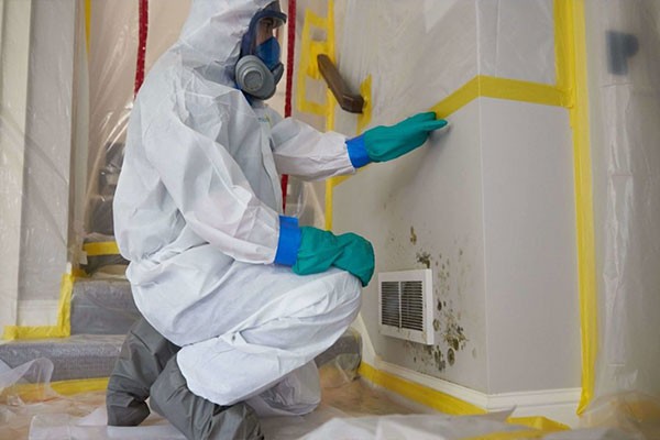 Mold Inspection Services Bensenville IL