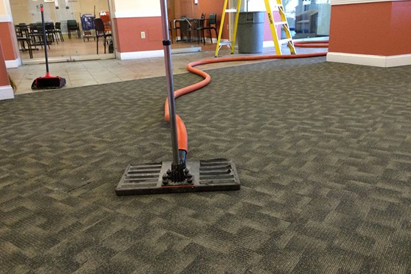 Dry Out Carpets