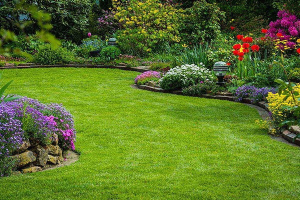 Residential Landscaping Service
