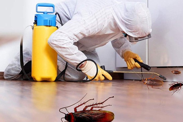 Bed Bug Exterminator Cost