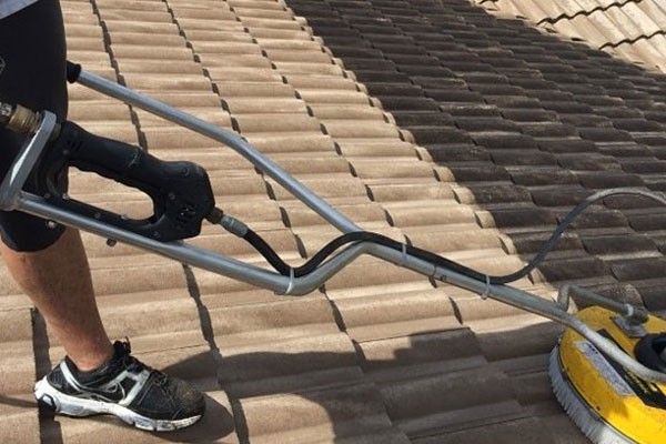 Roof Cleaning Services